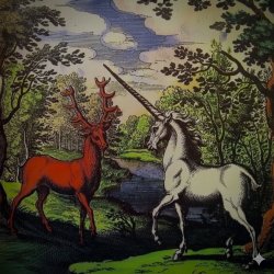 Unicorn deer Meme Template