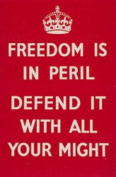 Freedom is in peril Meme Template