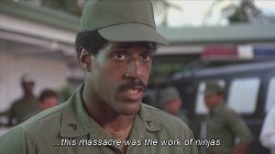 This massacre was the work of ninjas Meme Template