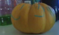 The Willam Have Been never Seen Meme Template