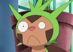 Chespin's WTF Face Meme Template