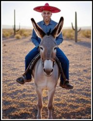 Hakeem Jeffries riding Donkey Meme Template