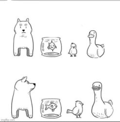 I wish I could Meme Template