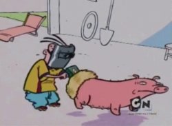 Eddy buffing pig Meme Template