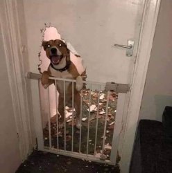 Chrisjoines1 Meme Template