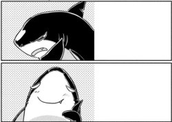 Same Shark Yes No Meme Template