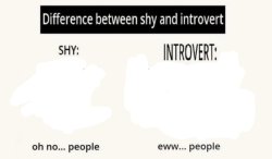 The difference between shy and introvert blank Meme Template