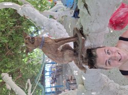 Hapoi Birthdio Bek-ka-kak-a Meme Template