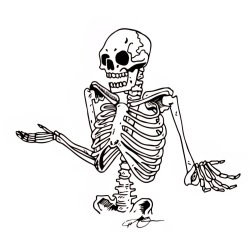 Skeleton shrugging white Meme Template