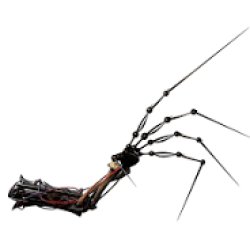 Experiment 1006 Meme Template