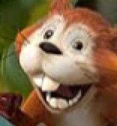 Goofy Ahh Squirrel Meme Template