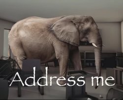 Address me elephant Meme Template