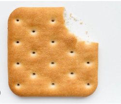 Cracker Meme Template