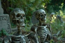 Skeletons Meme Template