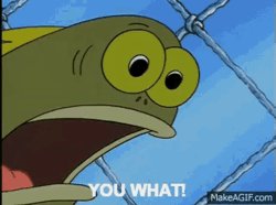 YOU WHAT meme Meme Template