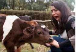 Chrisjoines1 Meme Template