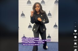 Jasmine Crocket street fighter tiktok pose Meme Template