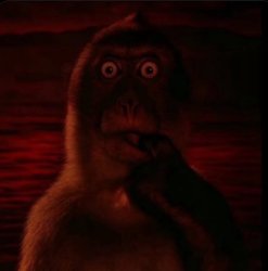 Evil Thinking Monkey Meme Template