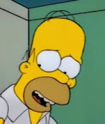 homer Meme Template