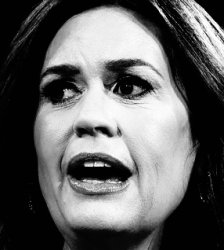 Sarah Huckabee Sanders Meme Template
