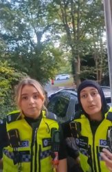 Brit Police Female Meme Meme Template