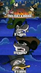 This isn’t a meme Meme Template