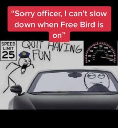 Free bird Meme Template