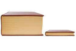 two books Meme Template