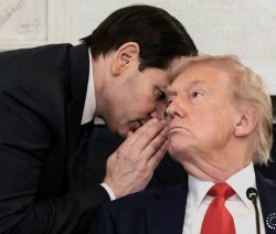 Rubio and trump Meme Template