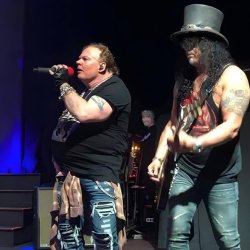 Axl Rose Meme Template