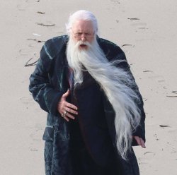 Dumbledore Meme Template
