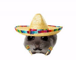 -xx Mexican power Meme Template