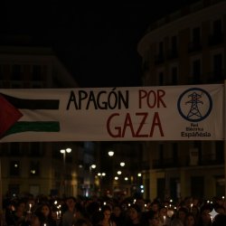 Palestina Soros Riot Meme Template