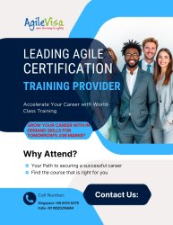 Leading Agile Certification Training Provider Meme Template