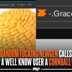 Random Newgen Cornballs well known user Meme Template
