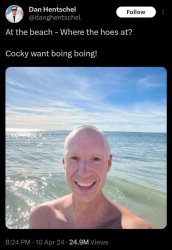 Cocky want boimg boing Meme Template