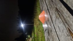 Lonely cone Meme Template