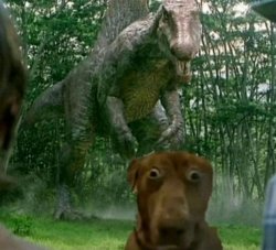 Dinosaur behind dog Meme Template