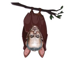 Hanging Around Too Long Meme Template