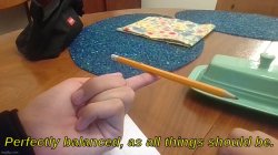 Leaf Balancing Template Meme Template