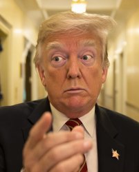 Trump drifting off into senile dementia, crazy, insane Meme Template