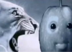 Ragebaiting the twin Meme Template