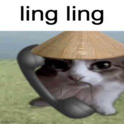 Ling Ling Slide Meme Template