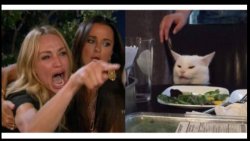 woman pointing at cat & yelling Meme Template
