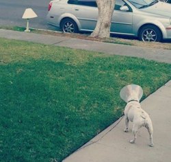 Chrisjoines1 Meme Template