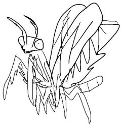 Meme mantis Meme Template