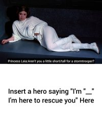 Who rescues Princess Leia Meme Template