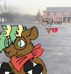 Forrest - Sybau (better) Meme Template