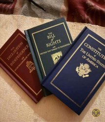 Constitutional Rights Meme Template