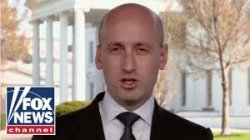 "Human" But Plug! Meme Template